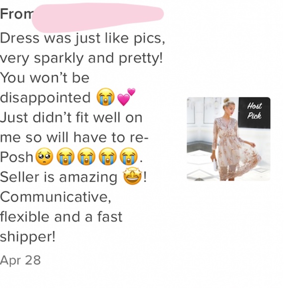 Tan Midi V-Neck Mesh Dress with Rosegold Sequins - Picture 9 of 13